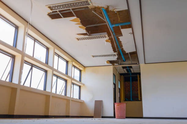 Best Water damage restoration experts  in Baldwin, NY