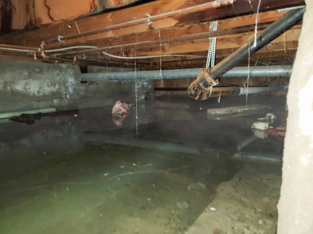 Trusted Baldwin, NY Water damage restoration Experts