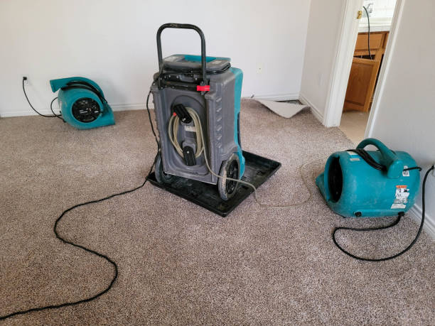 Best Professional water damage repair  in Baldwin, NY